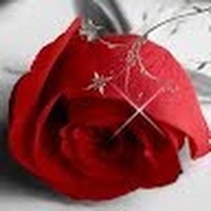 Meet your Posher, Mayra